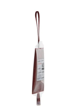 Trickz N' Treatz Jewelry*Bad Blood Wristlet