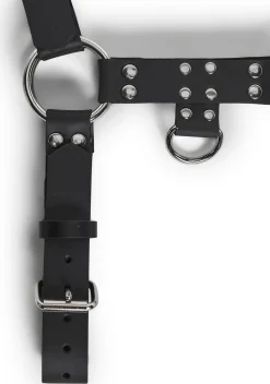 Funk Plus Belts & Harnesses*Buckle Bulldog Body Harness
