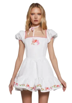 Dolls Kill | Care Bears x Strawberry Shortcake Dresses|Plus*Cheerful Spirits Fit N’ Flare Dress