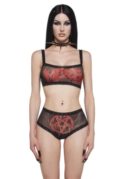 Widow Lingerie|Plus*Hidden Goth Panty Set