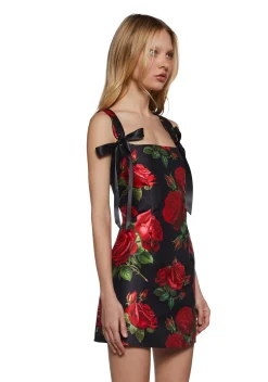 Sugar Thrillz Dresses|Mini Dresses*Pixie Stardust Mini Dress - Roses