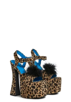 Current Mood Platforms|Heels*Social Drama Platform Heels