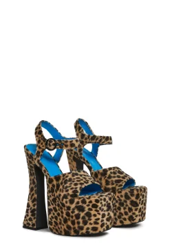 Current Mood Platforms|Heels*Social Drama Platform Heels