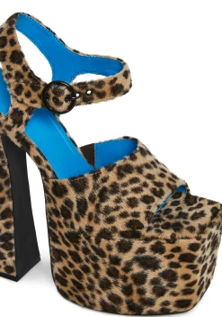 Current Mood Platforms|Heels*Social Drama Platform Heels